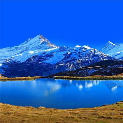 leyu·乐鱼(中国)体育