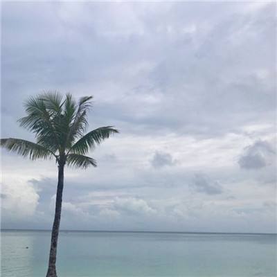 k1体育十年品牌值得信赖网址