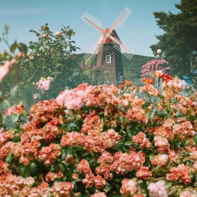 ManBetX登录网页版截图