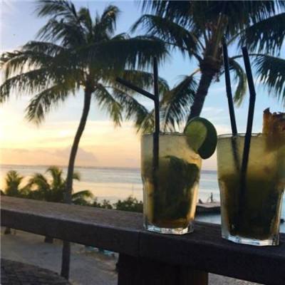 贝博app代言艾弗森app下载