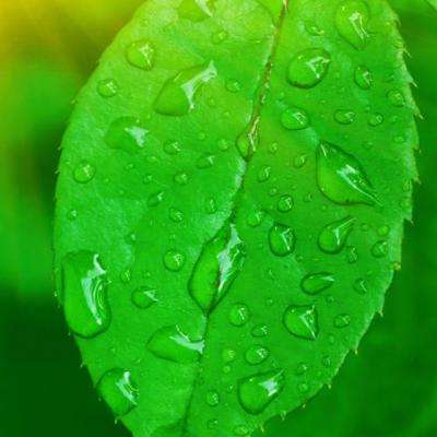 71771威尼斯.Cm下载手机版